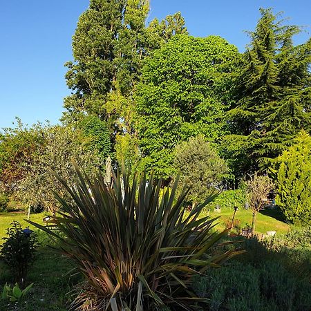 Verneuil-le-Chateau La Tour Du Raygnier Bed & Breakfast エクステリア 写真