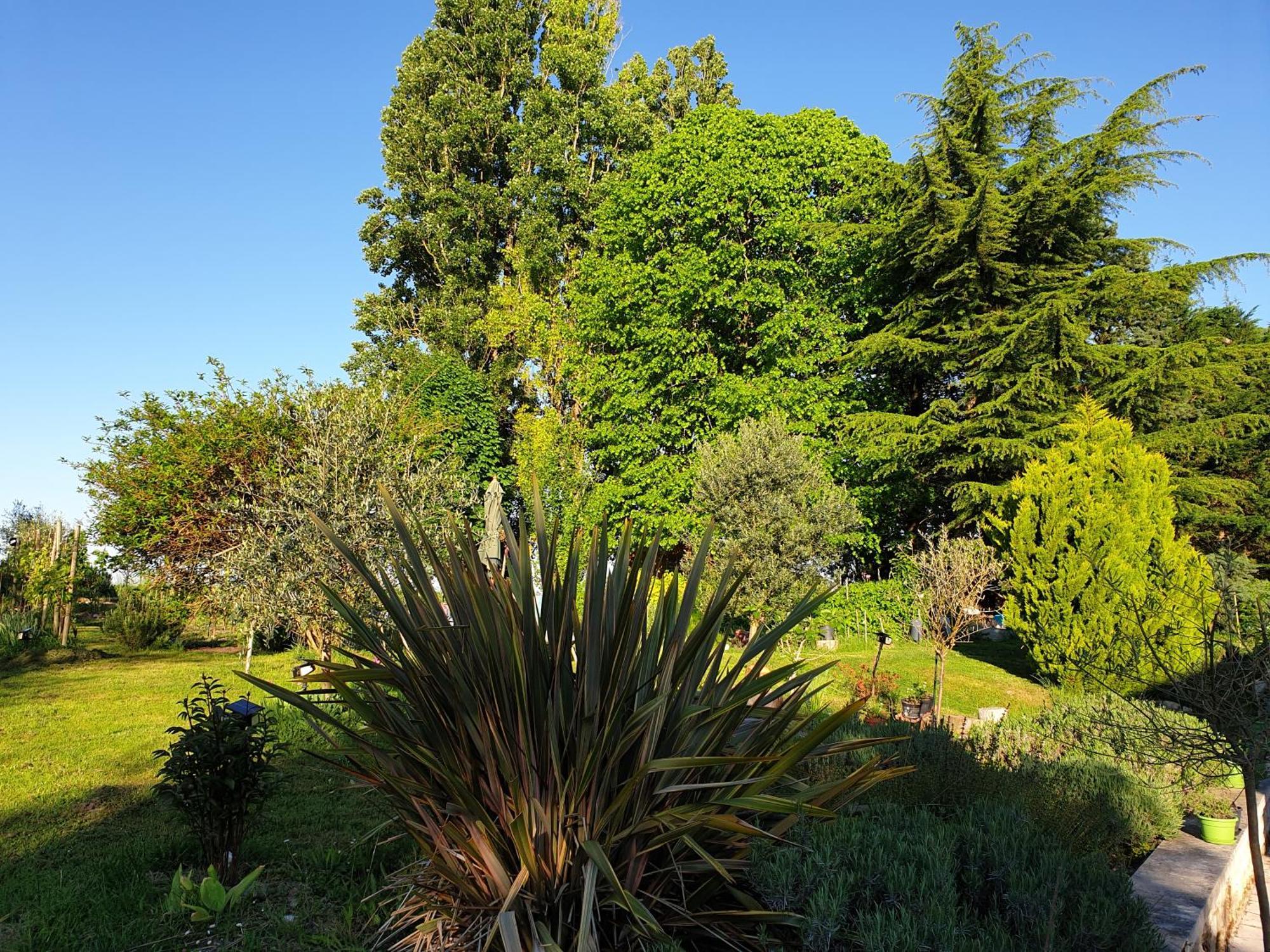 Verneuil-le-Chateau La Tour Du Raygnier Bed & Breakfast エクステリア 写真