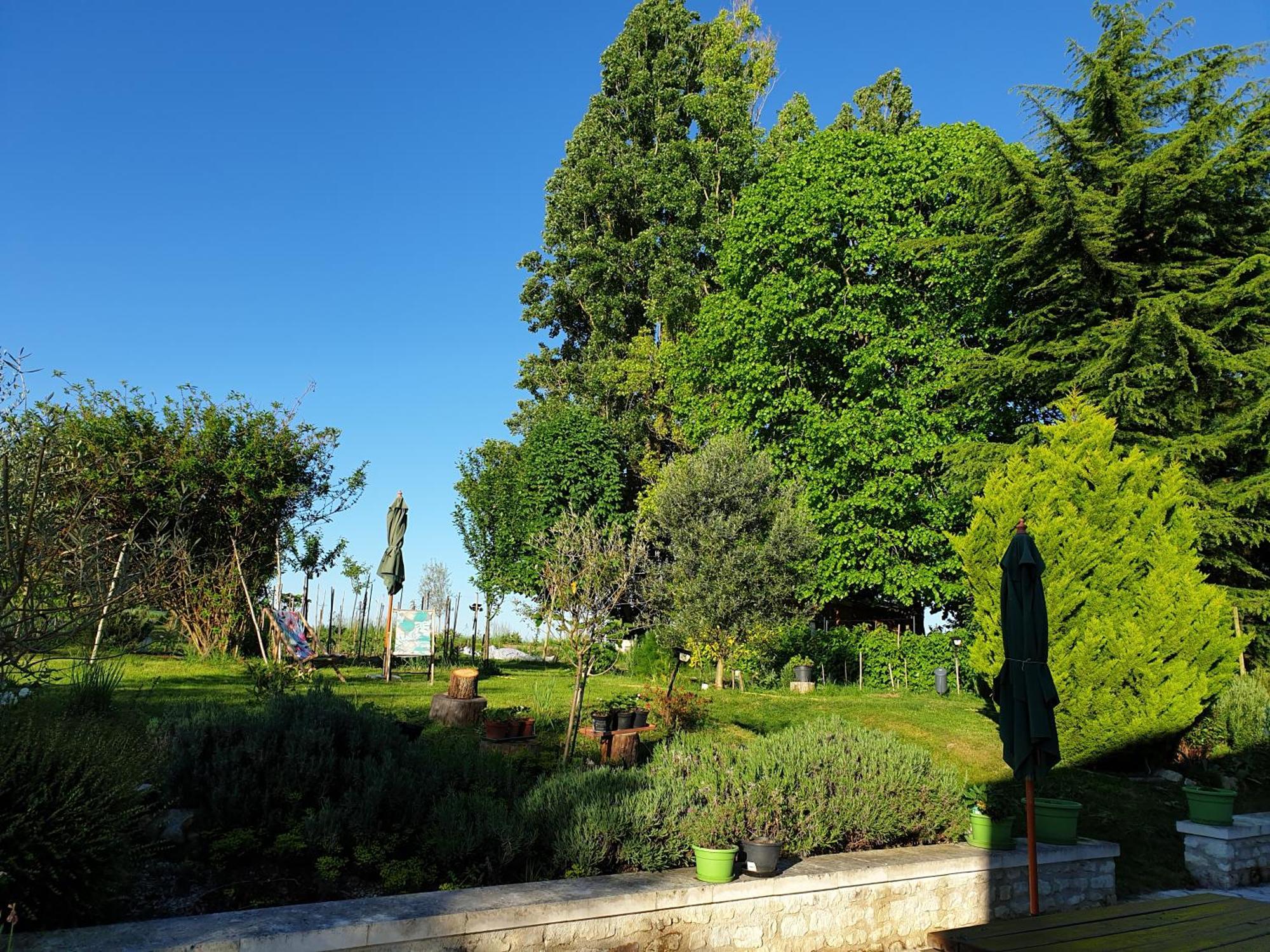 Verneuil-le-Chateau La Tour Du Raygnier Bed & Breakfast エクステリア 写真